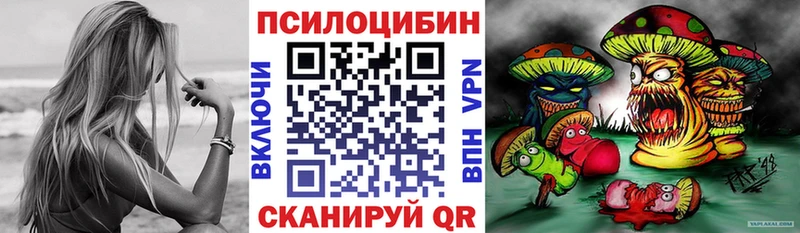 закладки  Дыгулыбгей  Псилоцибиновые грибы GOLDEN TEACHER 